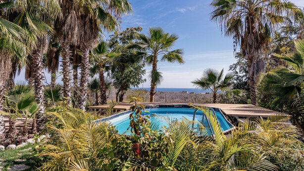 A pool surrounded by palm trees and a view of the ocean. - Villa Gardenia - Casa Jazmín directly on the sea (Todos Santos)