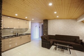 Apartment | Private kitchen | Fridge, microwave, oven, stovetop