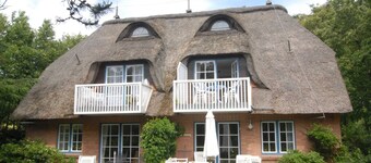 House carp pond - House Carp pond Whg 04