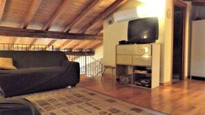 A loft-style room with a wooden ceiling, a sofa, a television on a cabinet, and a patterned rug. - Casa Canevini Garda (Garda)
