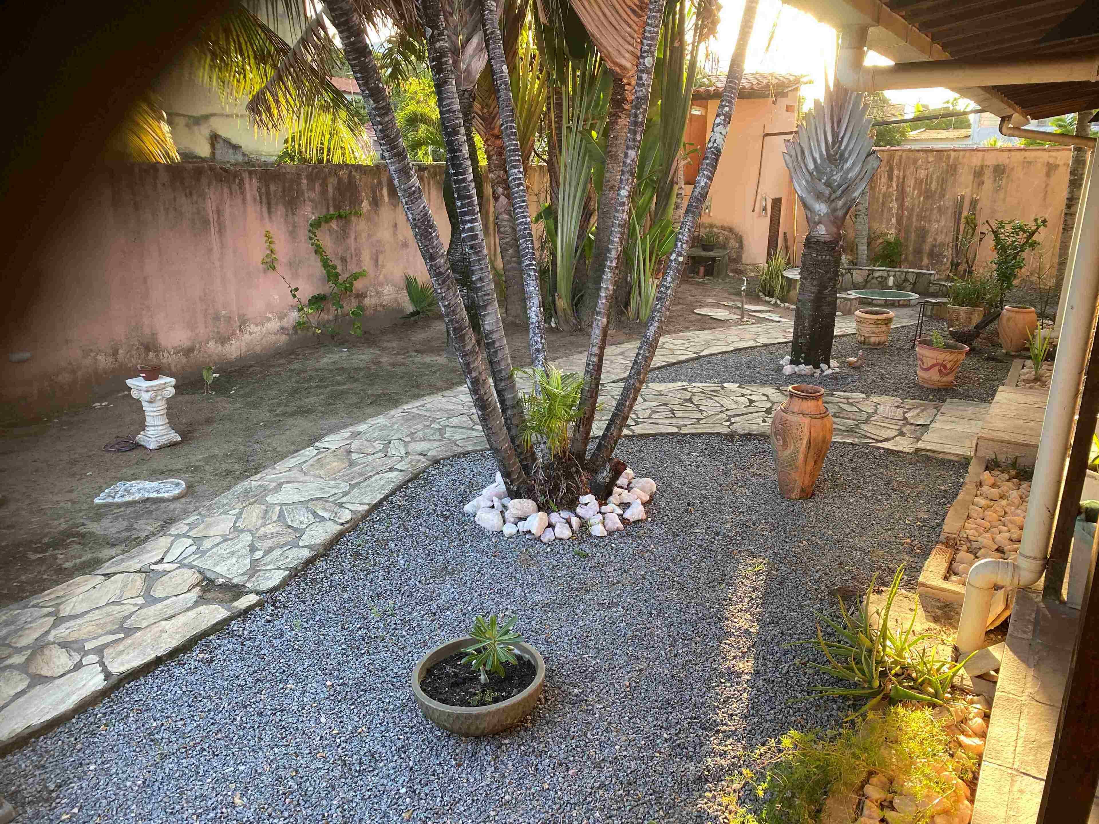 A garden with a stone pathway, a small tree, and potted plants.