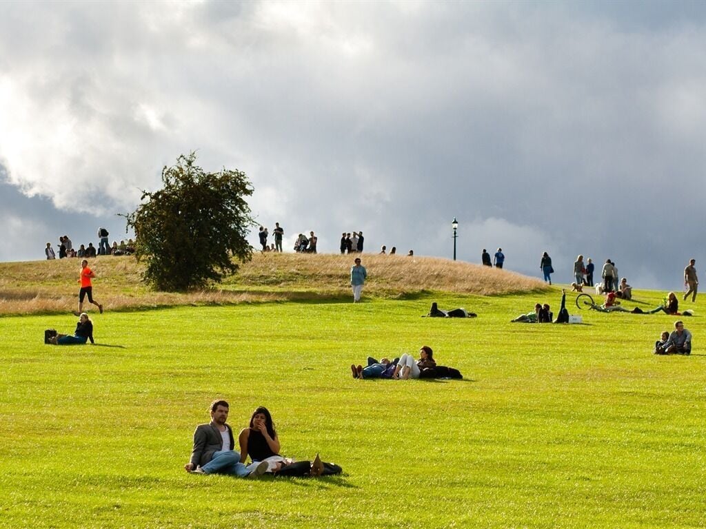 Ein grünes Feld mit Menschen, die sitzen und spazieren gehen.