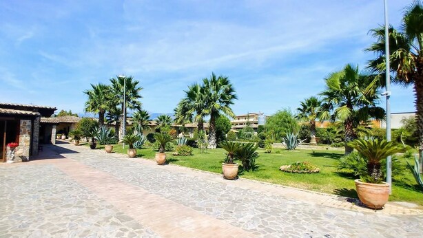 A courtyard with a paved walkway, palm trees, and a building with a tiled roof. - Amarcord (Spezzano Albanese)