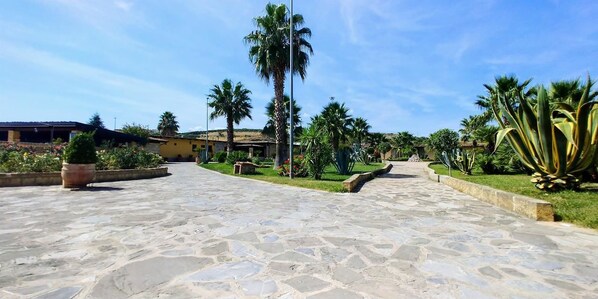 A paved courtyard with palm trees and a building in the background. - Amarcord (Spezzano Albanese)