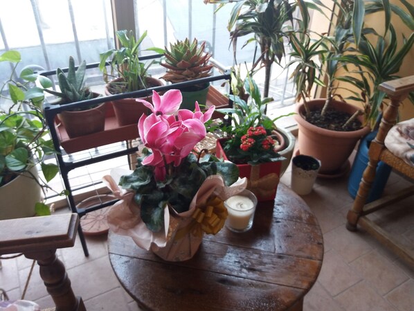 Televisión LCD 22 pulgadas con canales de televisión digitales