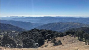 Vista panorámica de un paisaje montañoso con bosques densos y cielo azul despejado.