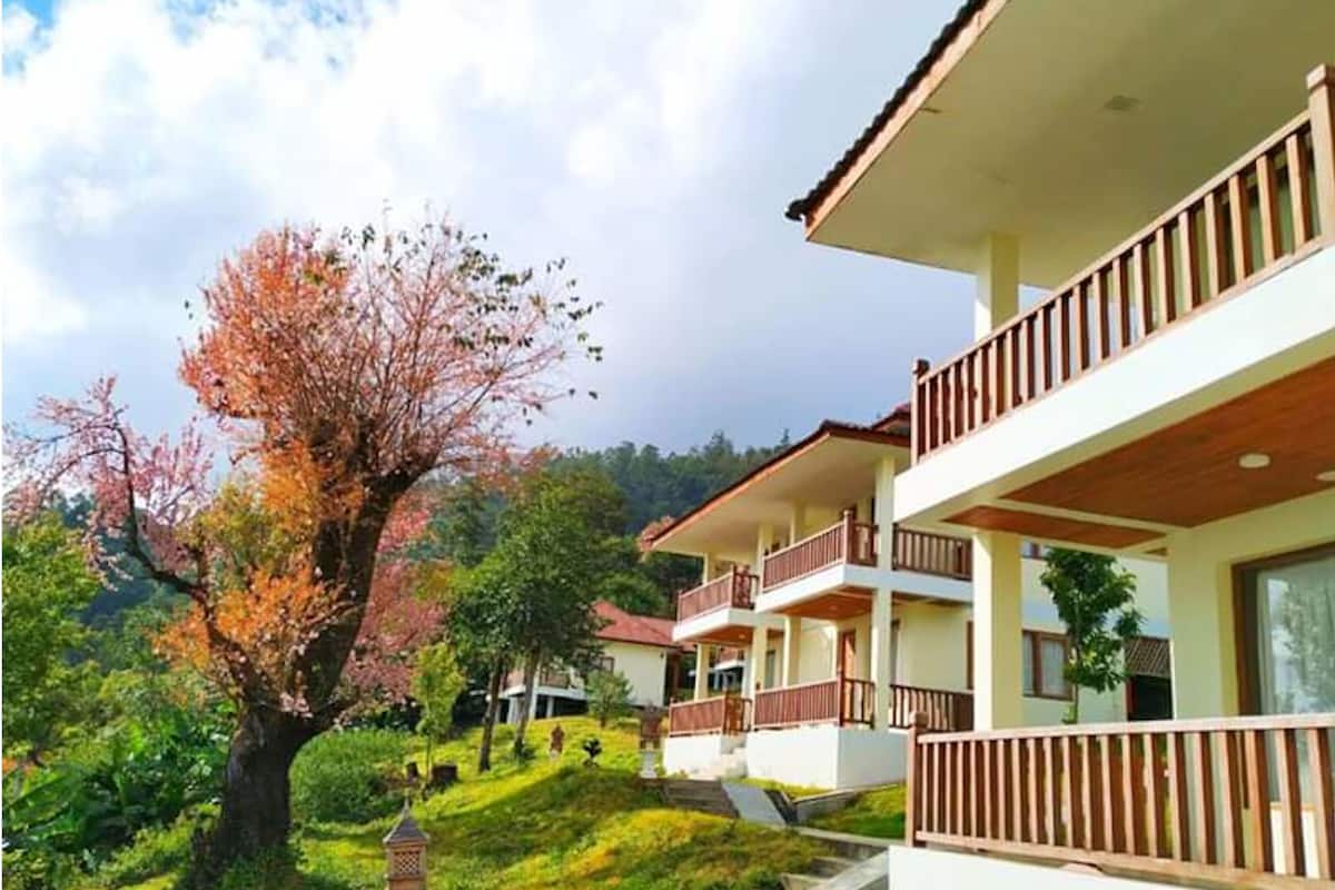 A multi-story building with balconies and a tree with pink blossoms in the foreground.