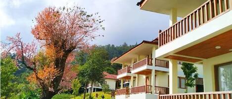 Minibar, in-room safe, desk