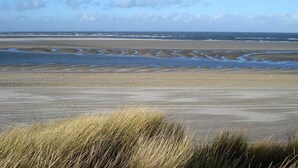 A coastal landscape with a beach, tidal pools, and grassy dunes. - House Friesenperle - House Friesenperle Whg 01 (Sankt Peter-Ording)