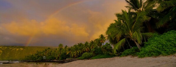 A beach with palm trees and a rainbow in the sky.