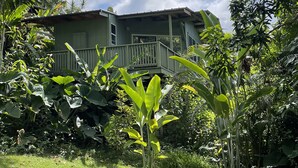 Una casa de dos pisos con un balcón, rodeada de abundante vegetación.