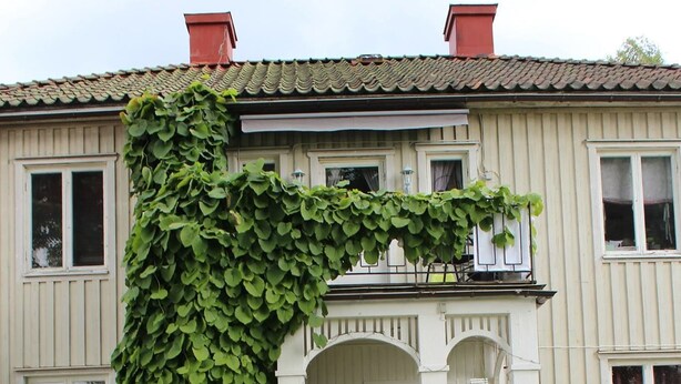 Une maison dotée d’un porche abrité, d’un banc en bois et d’un chemin de pierre menant à l’entrée.