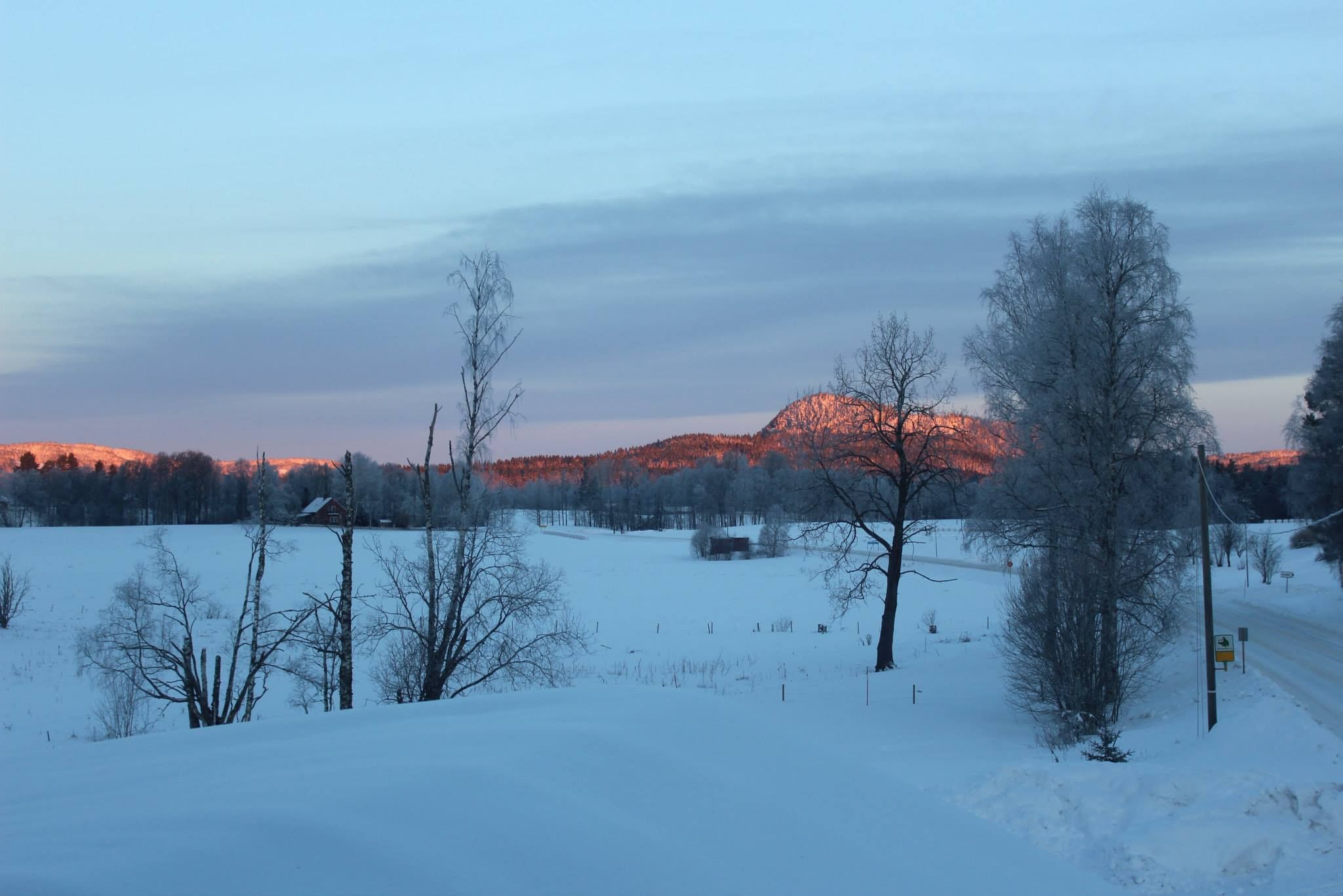 Eine verschneite Landschaft mit einem Berg im Hintergrund.