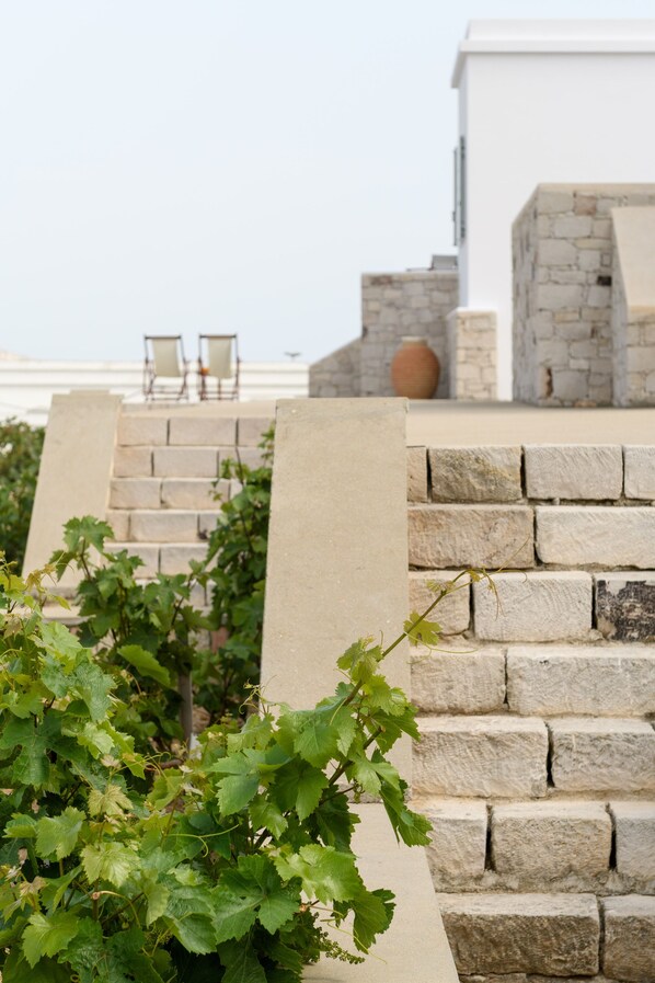 A stone staircase leading to a terrace with a view of the sea, surrounded by greenery and outdoor seating.