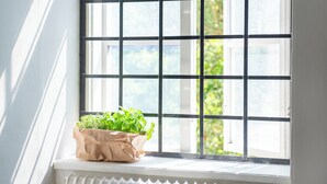 A window with a grid pattern, a white radiator below, and a potted plant on the sill. - STF Visby Hamn Vandrarhem (Visby)