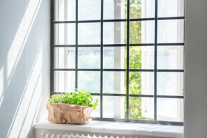 A window with a grid pattern, a white radiator below, and a potted plant on the sill. - STF Visby Hamn Vandrarhem (Visby)