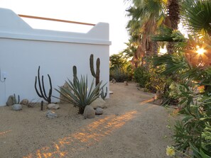 Property grounds - Villa Gardenia - Casa Cactus by the sea (Todos Santos)