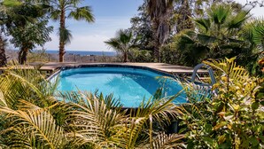 A swimming pool surrounded by lush greenery and palm trees, with a clear view of the ocean in the background.