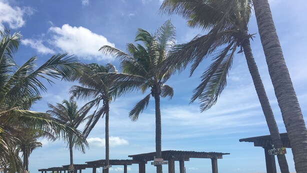 A beachside walkway with palm trees, wooden gazebos, and a view of the sea. - Locanda Dei Venti (Itarema)