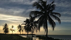 A beach with palm trees and a sunset. - Locanda Dei Venti (Itarema)