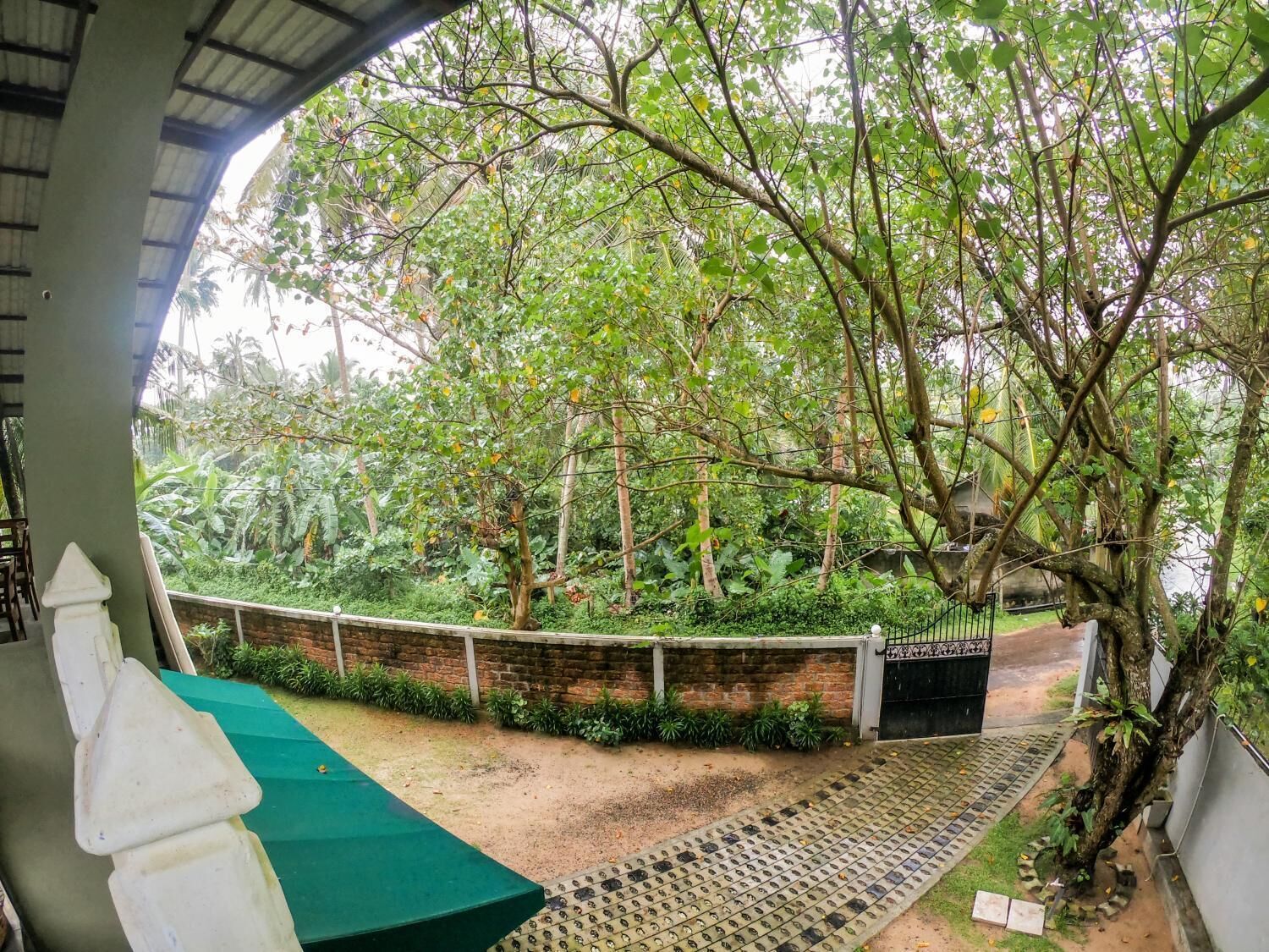 Un espacio al aire libre cubierto con un muro de ladrillo, una reja metálica y una alfombra verde que conduce a un sendero.
