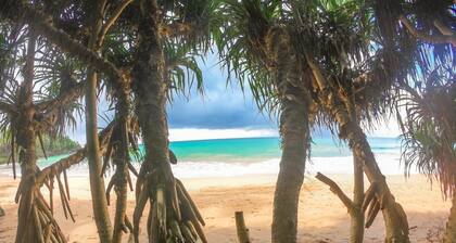 Leather Back Beach Villa