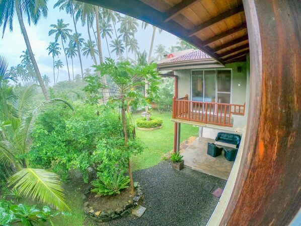 Vista desde un balcón sobre un jardín exuberante con palmeras y una pequeña casa con balcón.