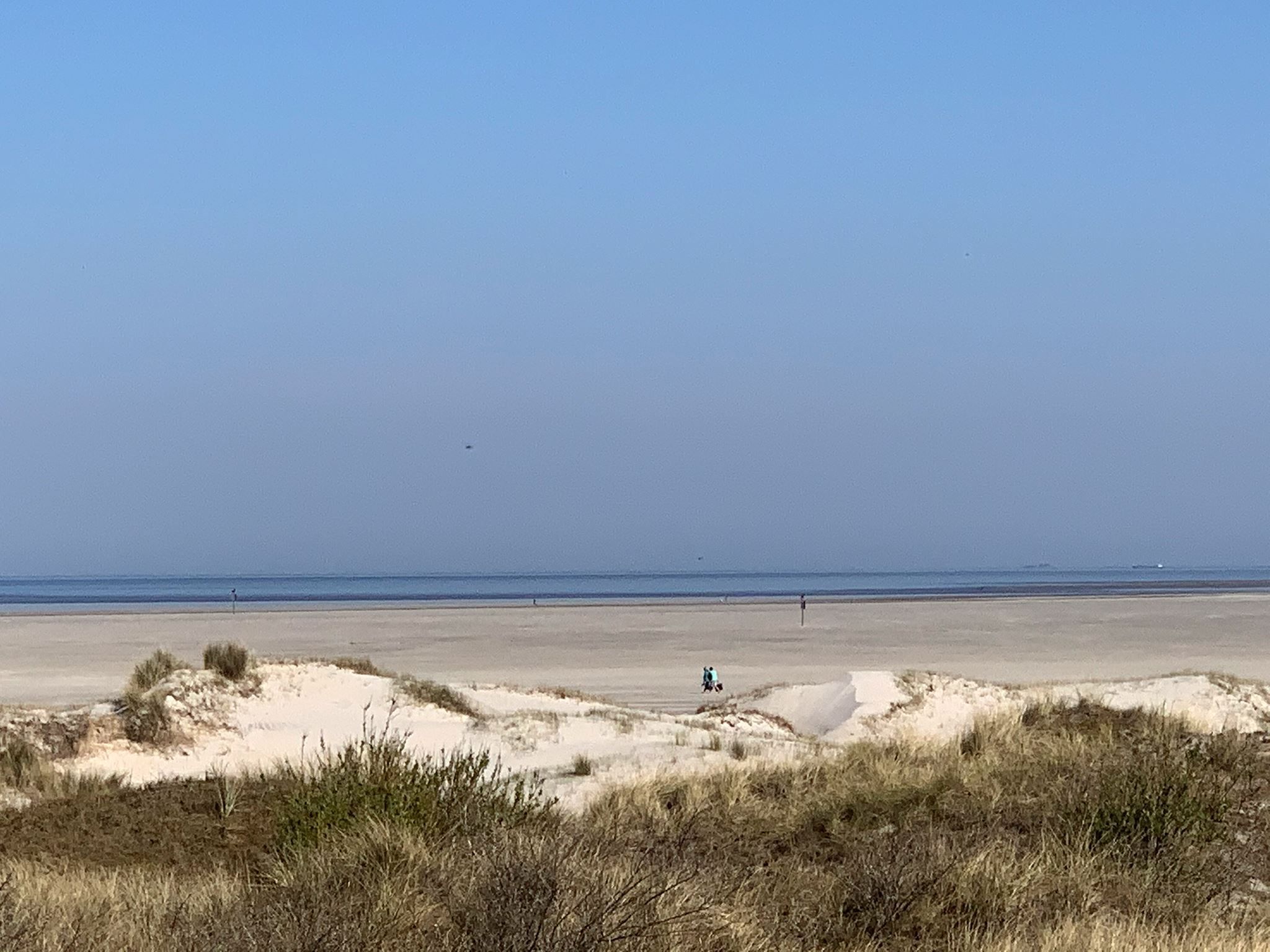 Une plage avec des dunes et un ciel dégagé.