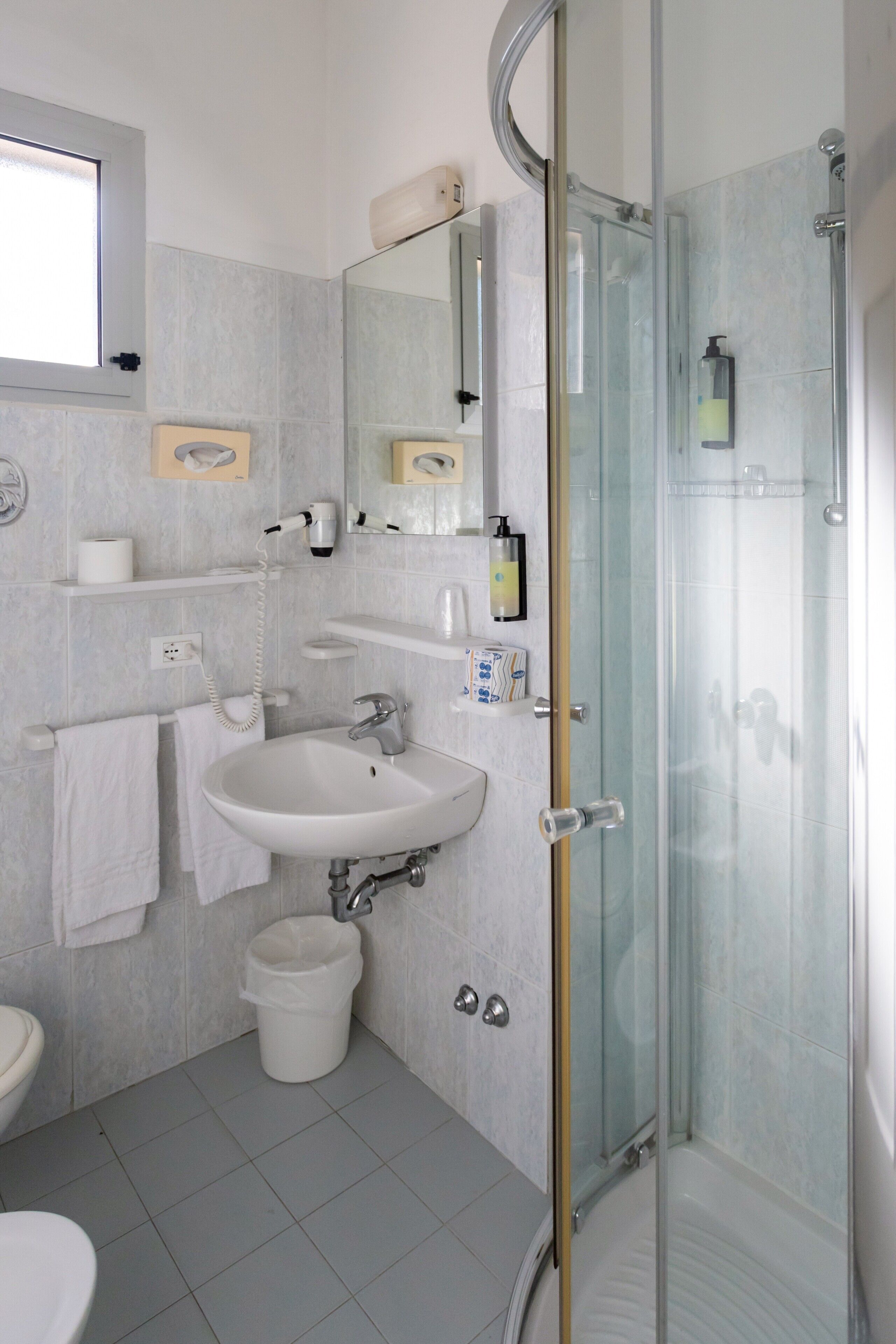 Shower, hair dryer, bidet, towels