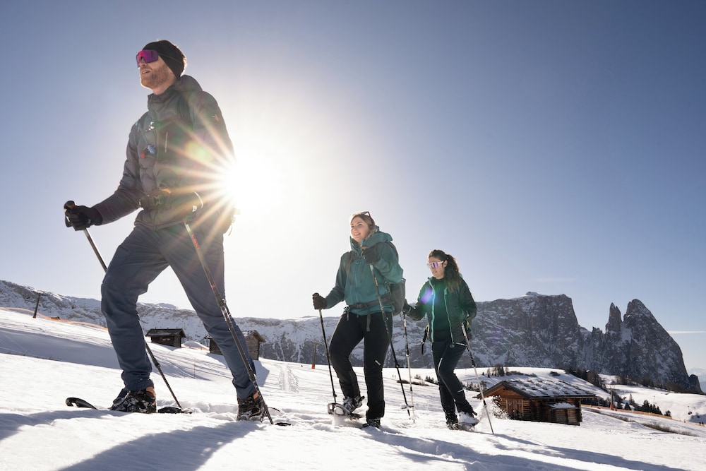 COMO Alpina Dolomites by null
