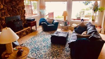 Smart TV, fireplace, DVD player, books
