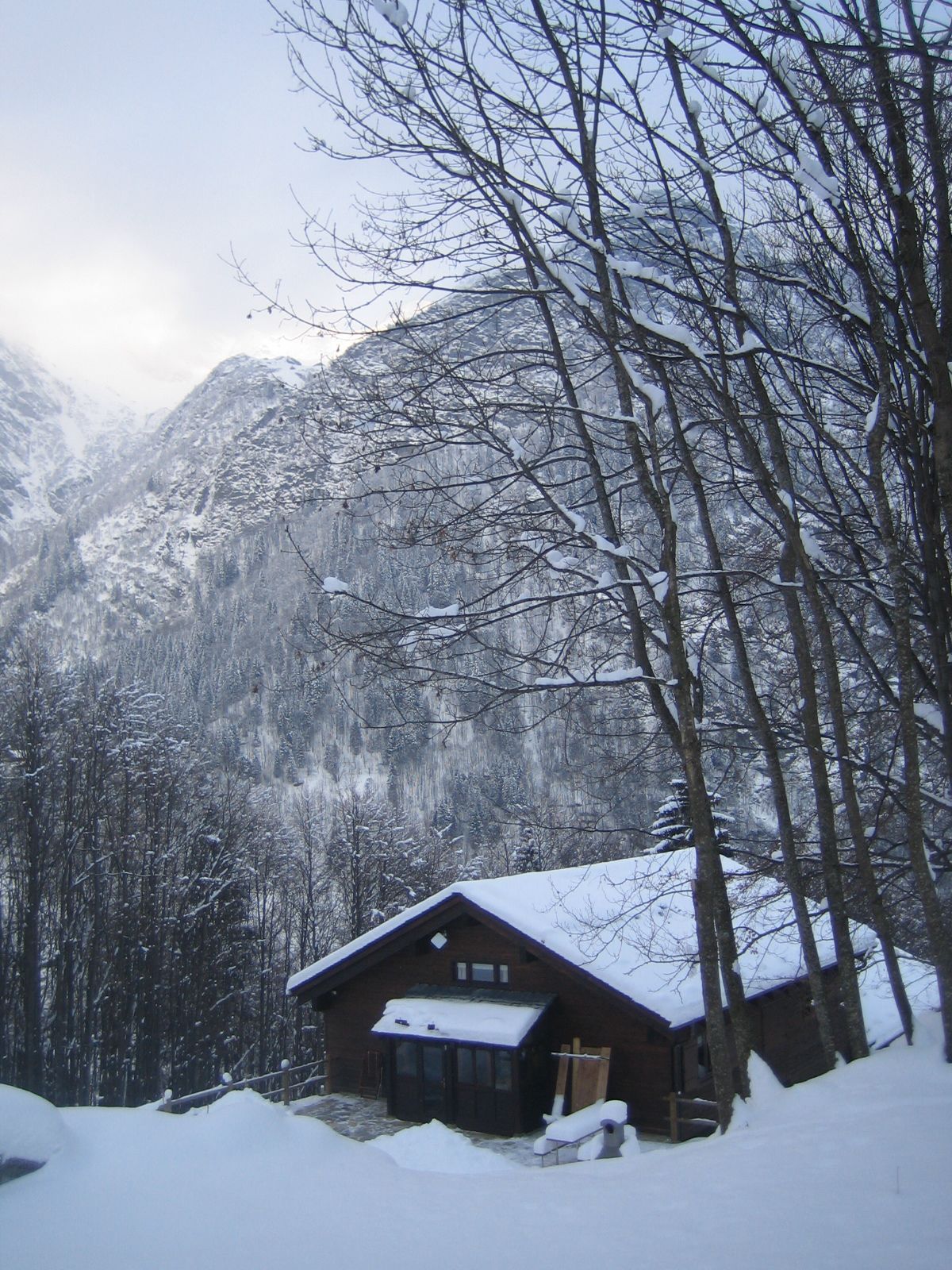 A cabin with a sloped roof, surrounded by snow-covered trees and mountains.