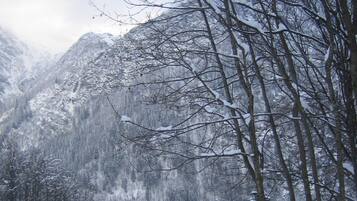 A cabin with a sloped roof, surrounded by snow-covered trees and mountains.