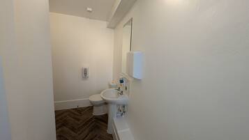 Et badeværelse med toilet, håndvask og spejl.
