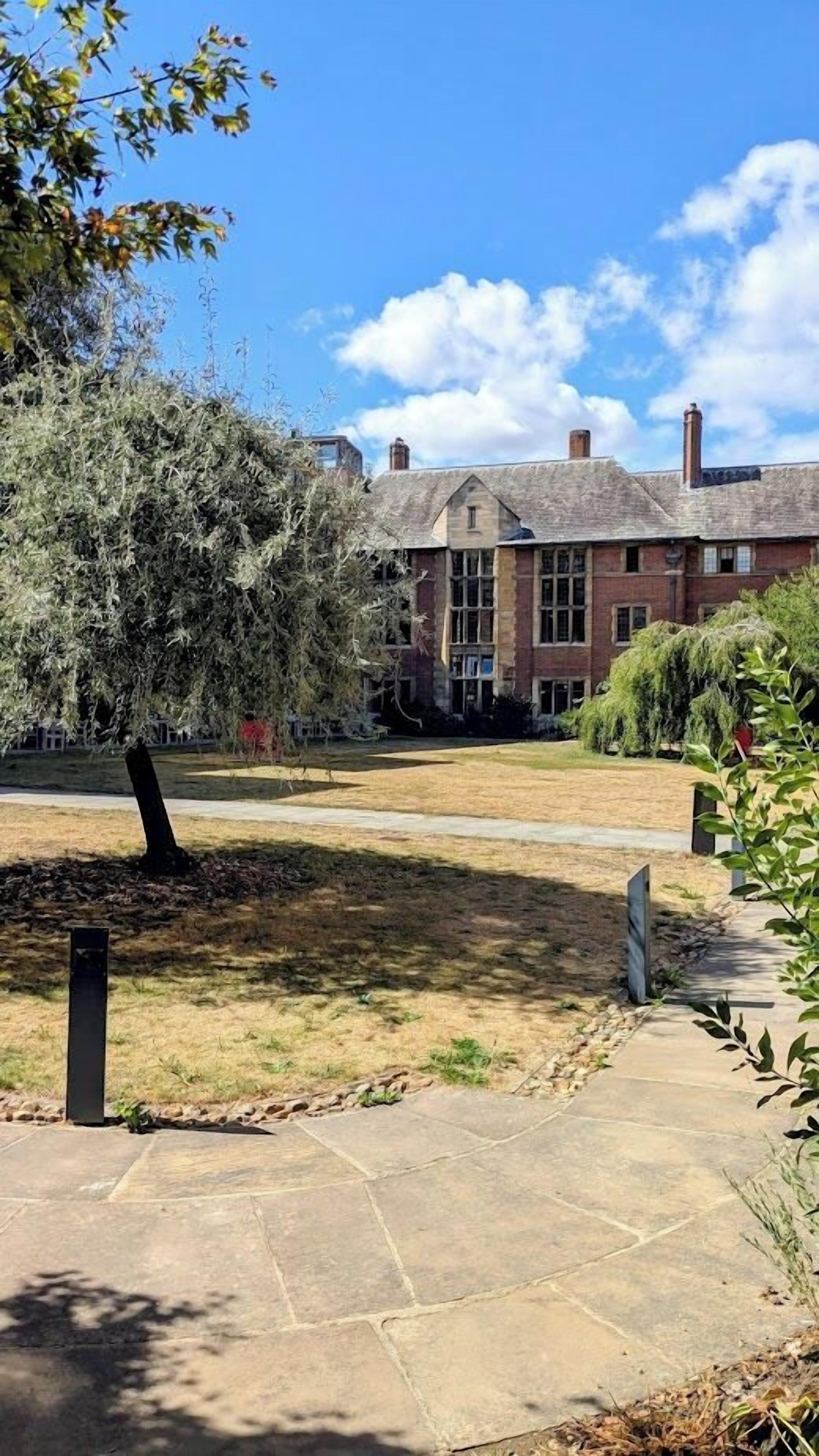 A building with a brick facade, a paved courtyard, and a large tree in the foreground.