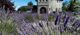 Castillo de lavanda Sequim