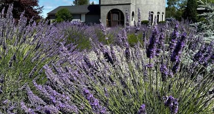 Castillo de lavanda Sequim