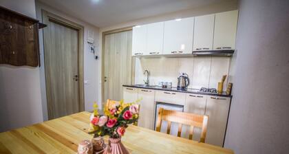 BAKURIANI PLAZA B-217