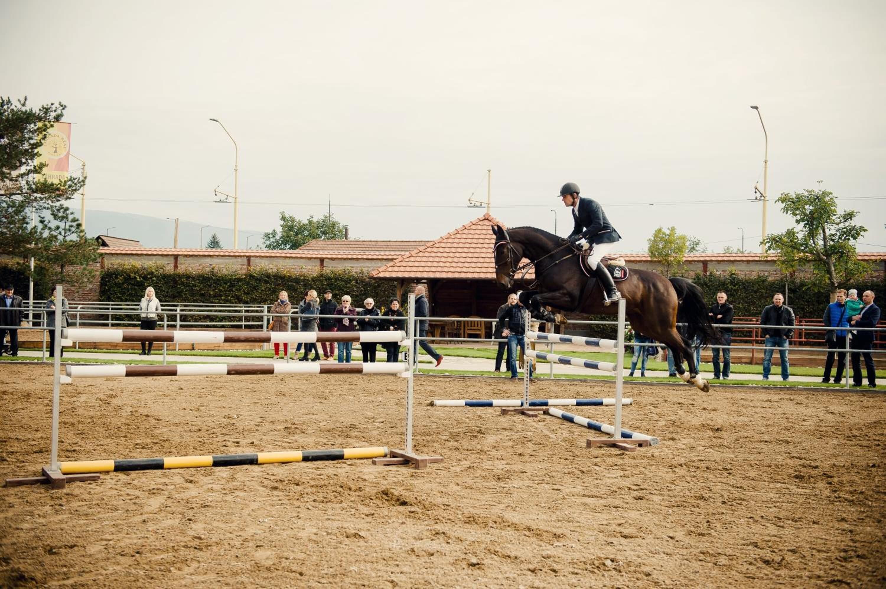 An indoor equestrian event with a sandy arena, jumps, and spectators.