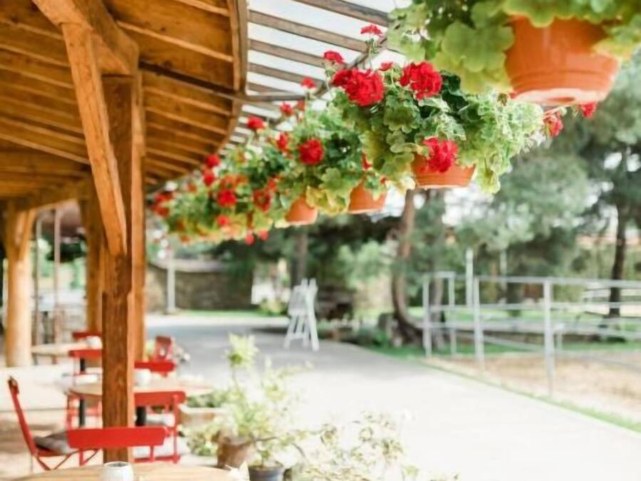An outdoor seating area with wooden tables and chairs, potted plants, and hanging flower baskets.