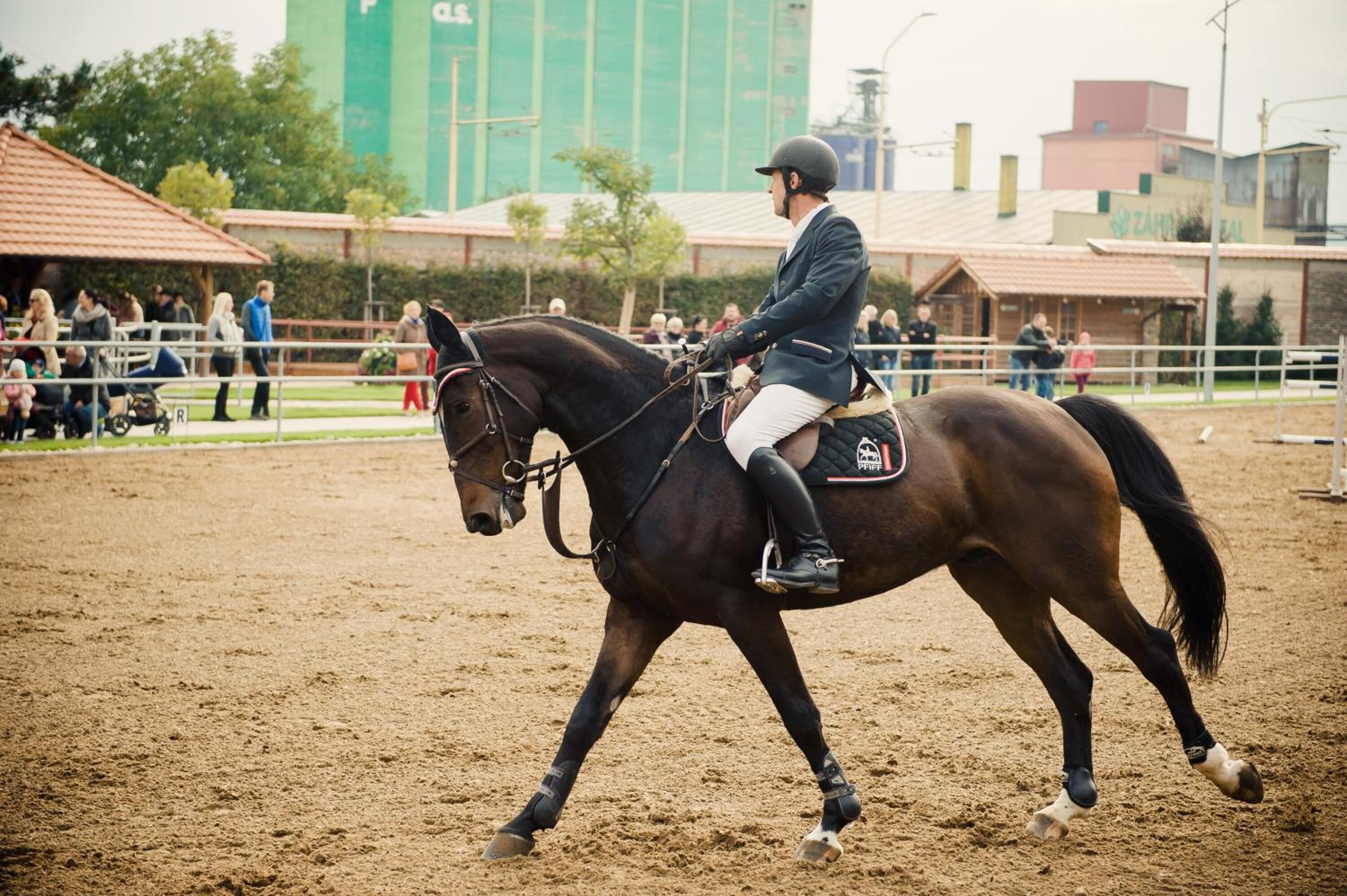 A person riding a horse in an outdoor arena with spectators.