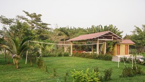 Puutarha