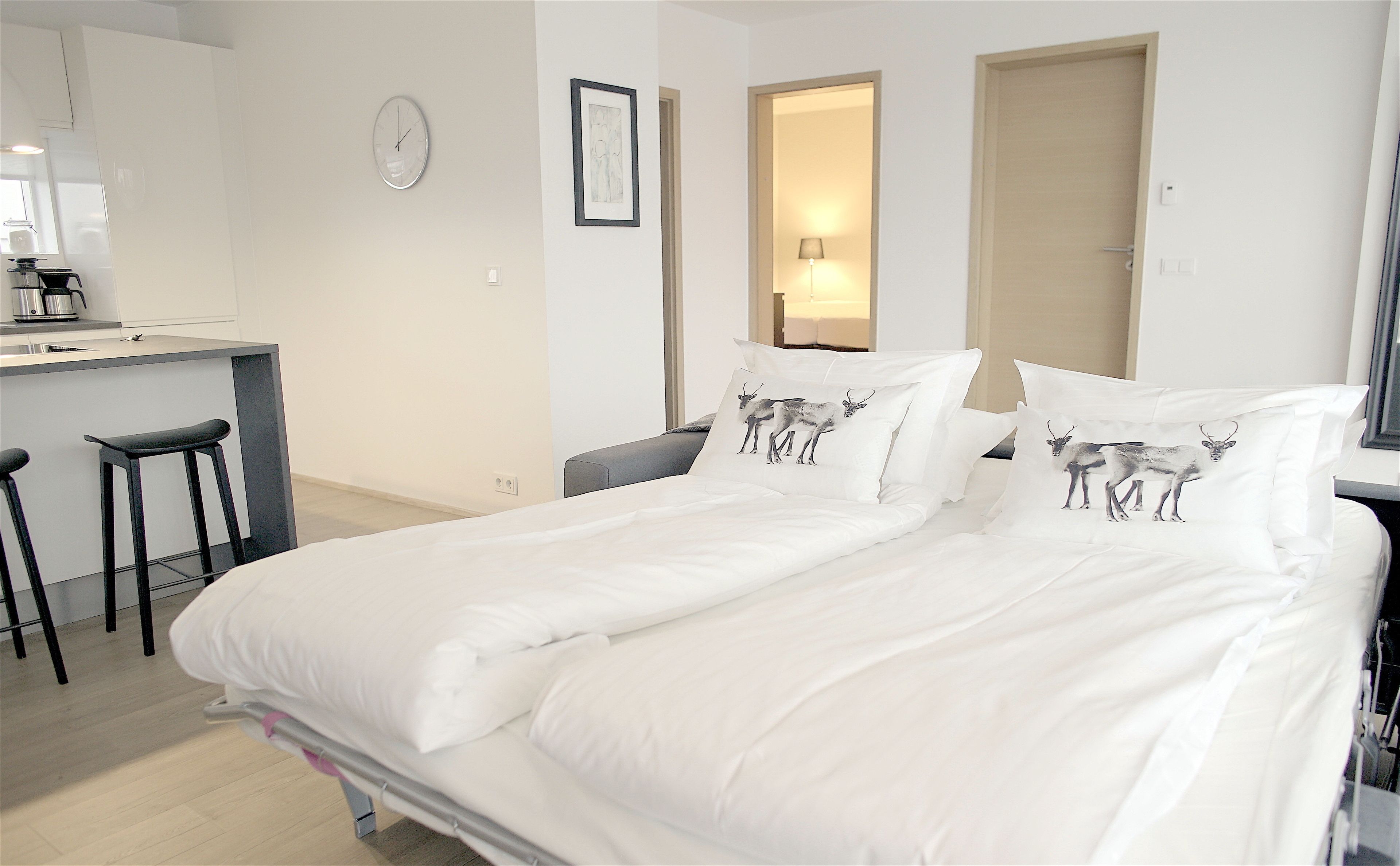 Apartamento Confort, 1 habitación (101) | Ropa de cama de alta calidad, edredones de plumas, decoración individual