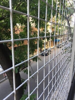 Vista del balcón