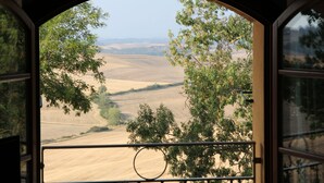 Uitzicht door een raam met een metalen hekwerk, over een landschap met glooiende heuvels en enkele bomen.