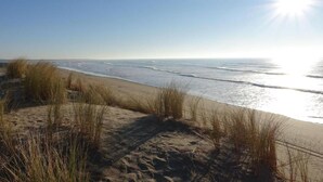 Ein Strand mit Dünen und Meereswellen.