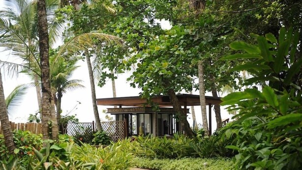 A covered outdoor area with a curved pathway, surrounded by lush greenery and tall palm trees.