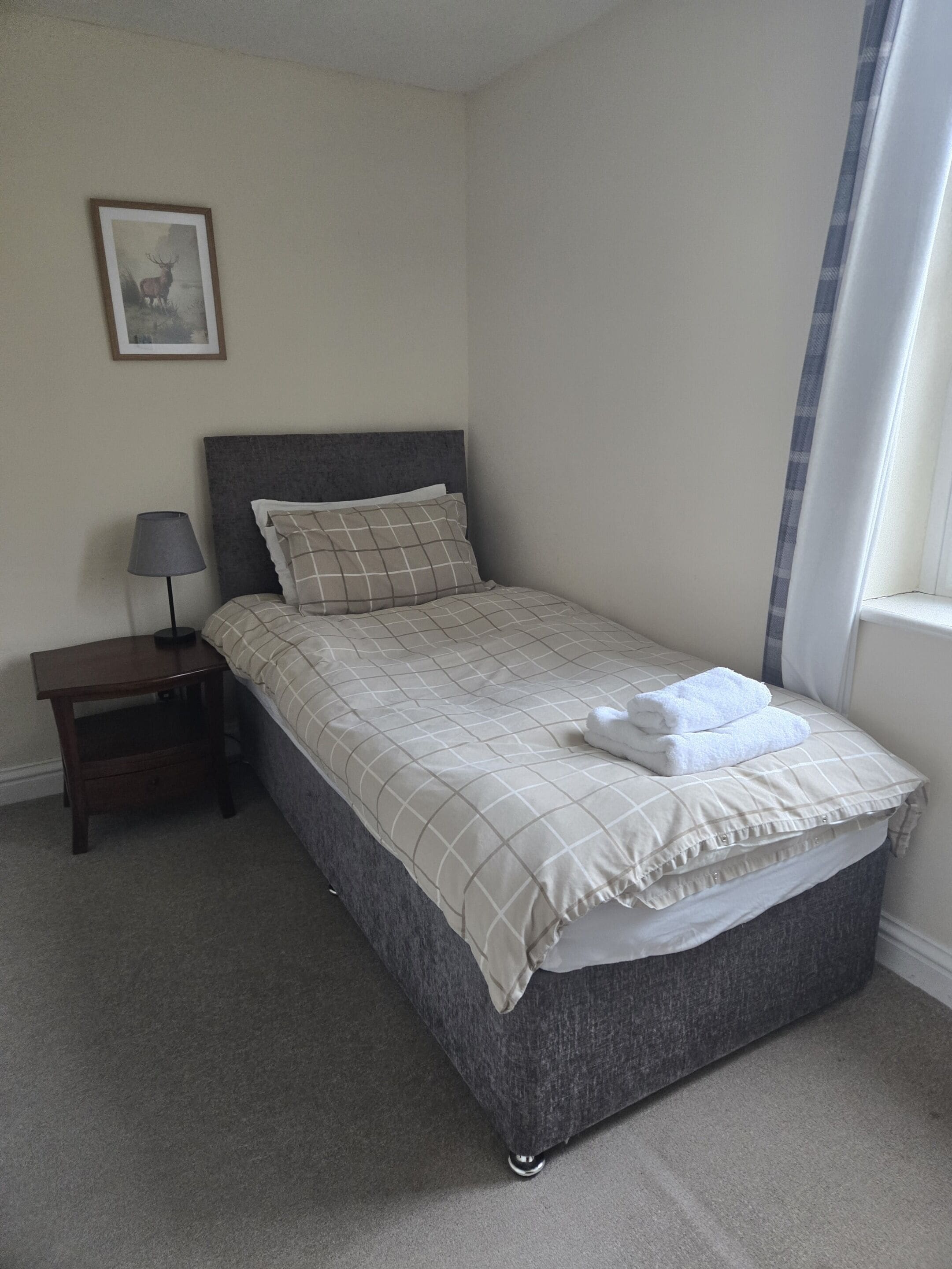 A neatly made bed with a grey headboard, a bedside table with a lamp, and a framed picture on the wall.
