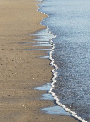 A beach with a clear demarcation between the wet sand and the dry sand, indicating the tide line.