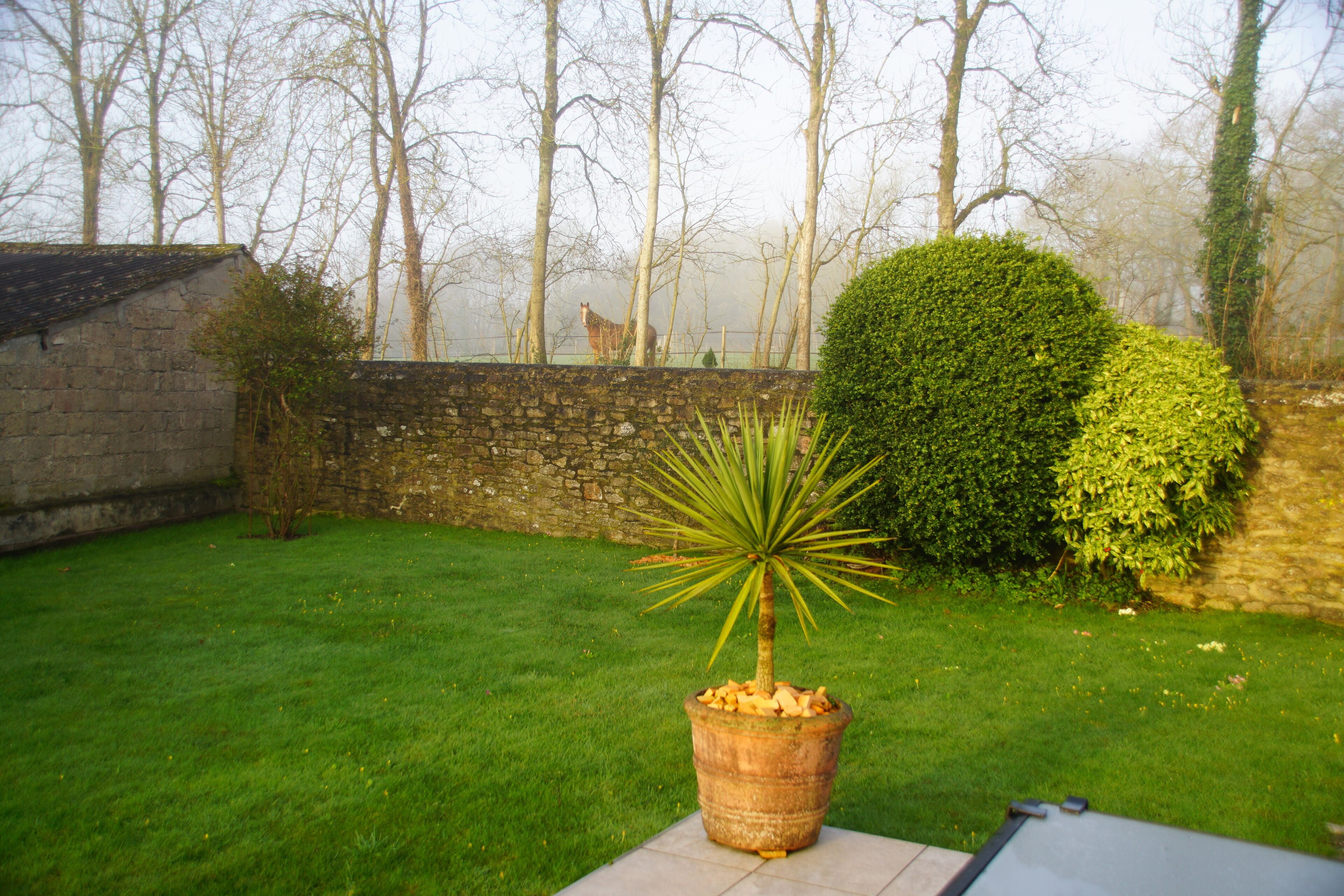 Overnattingsstedets uteområder